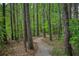 Shaded walking trail in a mature forest setting, a peaceful way to commune with nature at 935 Brookline Way, Alpharetta, GA 30022