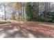 A serene backyard backing to a quiet greenbelt and covered in fallen leaves at 538 Shadowmoore Dr, Riverdale, GA 30274