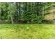 A serene fenced backyard features lush ground cover and mature trees at 5339 Biffle Downs Rd, Stone Mountain, GA 30088