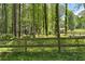 A serene creek flowing through a wooded area at 355 Clark Creek Pass, Acworth, GA 30102