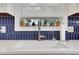Beautiful kitchen sink featuring blue backsplash, white countertops, and decorative plants at 47 Roseclair Se Dr, Atlanta, GA 30317
