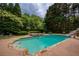 Backyard pool with a hot tub and slide surrounded by lush greenery at 280 Selkirk Ln, Johns Creek, GA 30097