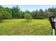 Large grassy backyard features mature trees and open space at 18 Amanda Dr, Dallas, GA 30157