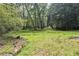 Beautiful wooded land featuring mature trees and lush green ground cover, perfect for nature enthusiasts at 3133 Callie Still Rd, Lawrenceville, GA 30045