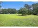Expansive grassy backyard featuring mature trees creating a serene and private oasis at 2452 Camp Mitchell Rd, Grayson, GA 30017