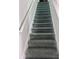 Carpeted staircase features neutral tones and provides access to the upper level of the home at 421 Congress Pkwy, Lawrenceville, GA 30044
