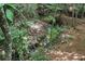 Backyard stream featuring a natural setting with lush greenery at 1560 Bubbling Creek Ne Rd, Atlanta, GA 30319