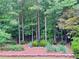 Garden bed with small fountain, trees, and green landscaping at 4056 Kingsley Park Ct, Peachtree Corners, GA 30096