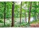Scenic view of a tranquil lake surrounded by lush green trees, showcasing a serene and peaceful setting at 41 Basswood Cir, Sandy Springs, GA 30328