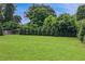 Expansive backyard featuring a lush green lawn and privacy trees, perfect for outdoor activities and relaxation at 201 Dobbs Rd, Woodstock, GA 30188
