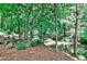 Lush wooded backyard with seating area, creek and landscaping, creating a peaceful outdoor retreat at 2682 Boulder Creek Ne Dr, Roswell, GA 30075