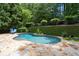Backyard kidney-shaped pool with a stone patio and mature trees at 4101 Rickenbacker Ne Dr, Atlanta, GA 30342