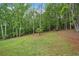 Scenic view of grassy backyard area surrounded by mature trees and natural landscape at 210 Joe Green Ln, Canton, GA 30114