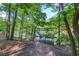 A pathway through the trees to a private dock, offering lake access and scenic views at 6006 Lanier Heights Cir, Buford, GA 30518