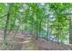 A scenic wooded path leading to the lake, offering a tranquil retreat in nature at 6006 Lanier Heights Cir, Buford, GA 30518