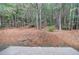 View of backyard landscaping and a wooded area at 4844 W Park Cir # 4844, College Park, GA 30349