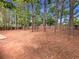 Large wooded backyard at 6370 Maid Marion Close, Alpharetta, GA 30005