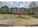 Expansive backyard view featuring lush greenery, mature trees, and gentle slope at 2885 Green Rd, Loganville, GA 30052