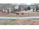 Aerial view of a fenced pasture with two horses, a dirt road, and wooded areas at 2885 Green Rd, Loganville, GA 30052