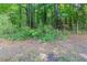 Image shows a wooded lot with trees and a natural landscape at 340 Onyx Ct, Atlanta, GA 30349