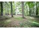View of wooded backyard with house in the distance and mature trees at 5666 Goldfield Dr, Acworth, GA 30102