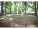 Expansive wooded backyard offers privacy and a natural setting at 5666 Goldfield Dr, Acworth, GA 30102
