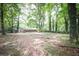 Large, wooded backyard with mature trees and a brick home in the background at 5666 Goldfield Dr, Acworth, GA 30102