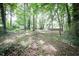 Spacious, wooded backyard featuring mature trees, greenery, and a storage shed at 5666 Goldfield Dr, Acworth, GA 30102