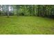 A spacious, grassy backyard is surrounded by tall, mature trees, providing a private setting at 2859 Wood Park Nw Trce, Kennesaw, GA 30152