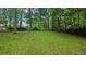 Expansive backyard surrounded by lush greenery and mature trees at 2859 Wood Park Nw Trce, Kennesaw, GA 30152