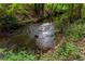 Picturesque creek flowing through a lush, green forest, providing a tranquil and natural ambiance at 4957 Day Lily Nw Way, Acworth, GA 30102