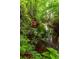 A serene stream meanders through a lush green forest, creating a tranquil and picturesque natural setting at 4957 Day Lily Nw Way, Acworth, GA 30102
