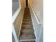 Carpeted stairs ascend to the upper level of the home, with a handrail at 143 Ilex Dr, Canton, GA 30114