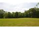 Wide-open backyard featuring a large grassy field and perimeter of mature trees at 8 Ripplewood Trl, Euharlee, GA 30145