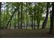 Peaceful backyard with mature trees and a tranquil river view at 8 Ripplewood Trl, Euharlee, GA 30145