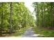 Gravel driveway cutting through lush green trees at 8 Ripplewood Trl, Euharlee, GA 30145