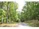 Long gravel driveway winds through a serene, tree-lined landscape at 8 Ripplewood Trl, Euharlee, GA 30145