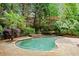 Freeform pool surrounded by lush landscaping and stone patio at 1200 Bay Pointe Terr Ter, Alpharetta, GA 30005