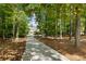 Long driveway leading to a private estate surrounded by mature trees and lush landscaping at 11355 Bowen Rd, Roswell, GA 30075