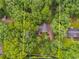 Aerial view of the property line in a densely wooded area at 2055 Timberland Dr, Cumming, GA 30040