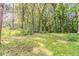 Backyard shot with mature trees on an expansive lawn, offering shade and a peaceful setting at 545 Fayetteville Rd, Fairburn, GA 30213
