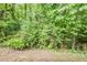 View of the lush, green backyard surrounded by thick vegetation and a variety of different green foliage at 733 San Fernando Se Dr, Smyrna, GA 30080