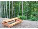 Backyard featuring a new wooden picnic table at 1132 Britley Park Ln Ln, Woodstock, GA 30189