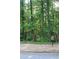 Home's wooded back yard with a free little library at 1132 Britley Park Ln Ln, Woodstock, GA 30189