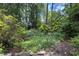 Lush backyard garden featuring a variety of plants, rocks, and shade trees perfect for outdoor relaxation at 2719 Cravey Ne Dr, Atlanta, GA 30345