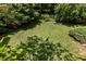 Well-maintained backyard with lush green grass and mature trees at 320 Kirk Rd, Decatur, GA 30030