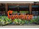 Exterior of Taqueria Superica with a brick facade, lush cacti, and an eye-catching, lit sign at 32 Howell Se St, Atlanta, GA 30312