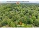 Aerial shot of the property's proximity to downtown Roswell and Roswell Mill, nestled among lush greenery at 175 River Run, Roswell, GA 30075