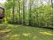 Lush backyard with tall trees and natural backdrop at 351 Ridgewater Dr, Marietta, GA 30068