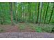 Backyard backing to forest views with large trees and green vegetation at 3267 Standing Peachtree Nw Trl, Kennesaw, GA 30152